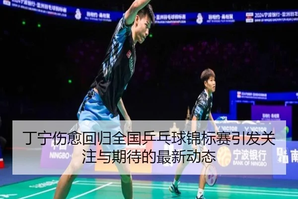 丁宁伤愈回归全国乒乓球锦标赛引发关注与期待的最新动态 - RAY ESPORTS