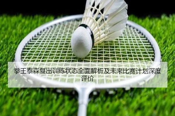拳王泰森复出训练状态全面解析及未来比赛计划深度评价 - RAY ESPORTS